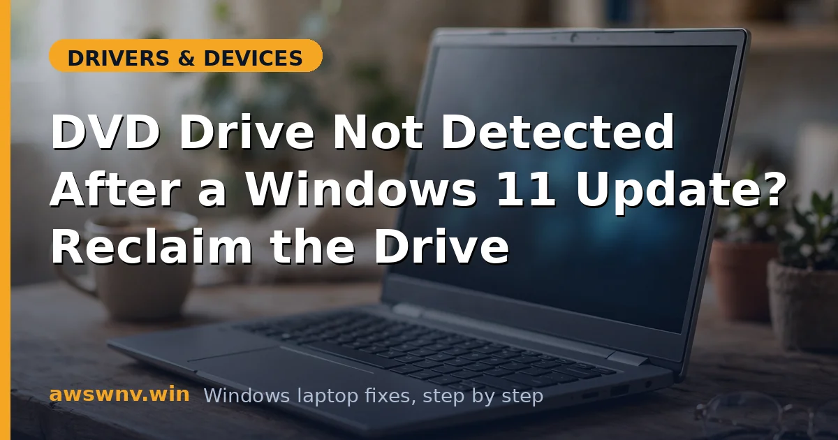 DVD Drive Not Detected After a Windows 11 Update? Reclaim the Drive