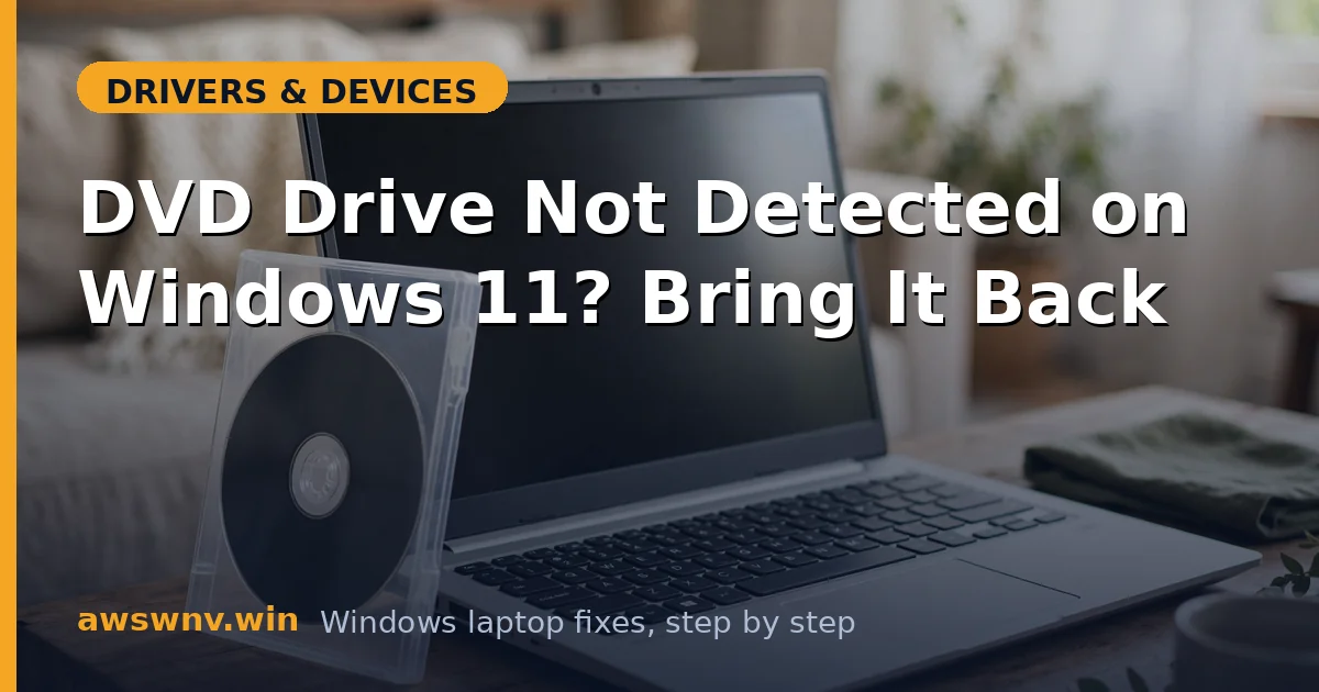 DVD Drive Not Detected on Windows 11? Bring It Back