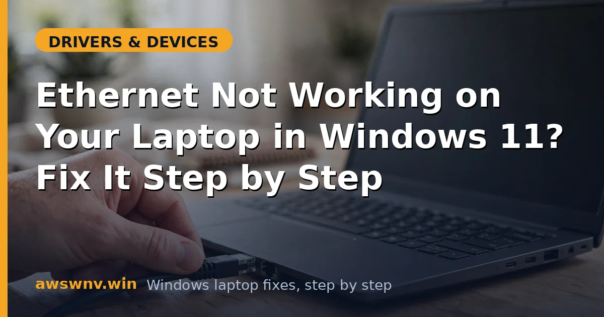 Ethernet Not Working on Your Laptop in Windows 11? Fix It Step by Step