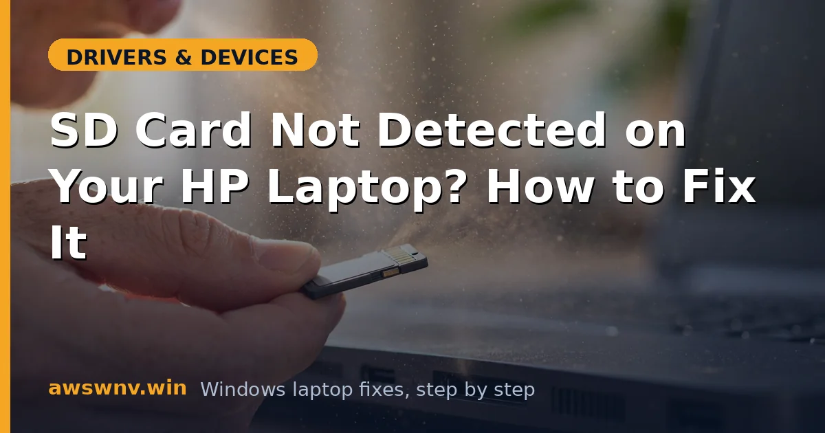 SD Card Not Detected on Your HP Laptop? How to Fix It