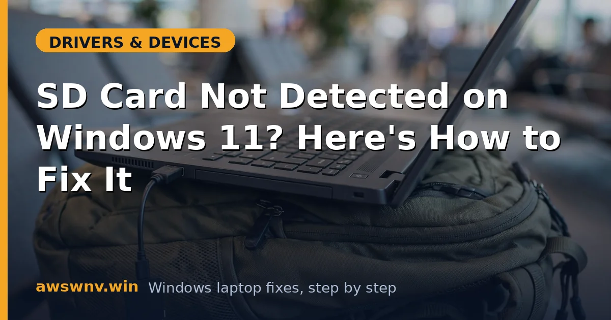 SD Card Not Detected on Windows 11? Here's How to Fix It