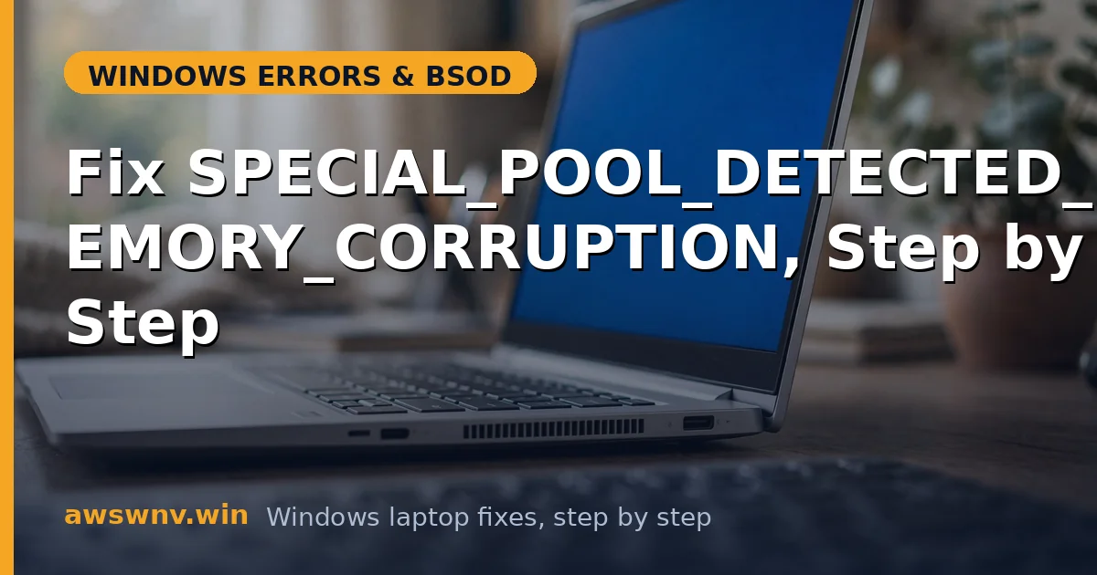 Fix SPECIAL_POOL_DETECTED_MEMORY_CORRUPTION, Step by Step