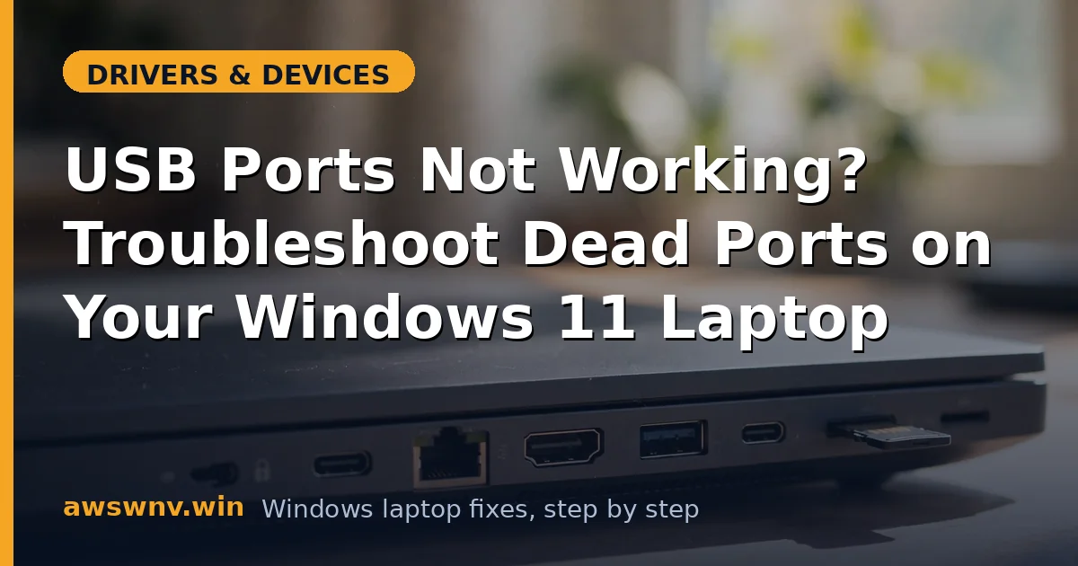 USB Ports Not Working? Troubleshoot Dead Ports on Your Windows 11 Laptop