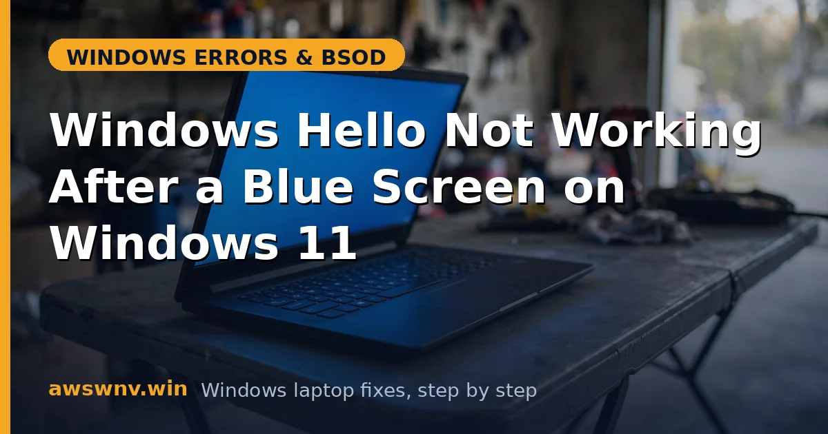 Windows Hello Not Working After a Blue Screen on Windows 11